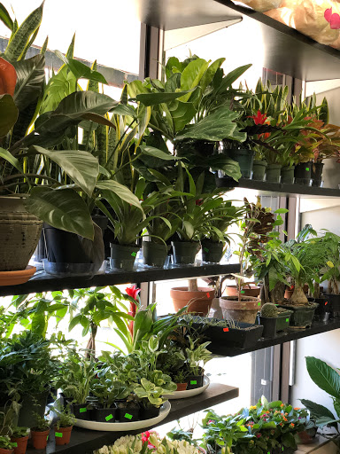 Florist «Quinn Florist», reviews and photos, 3524 Broadway, Astoria, NY 11103, USA