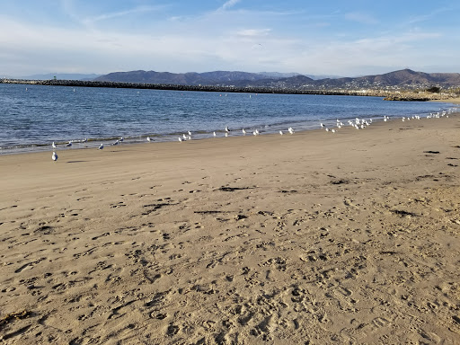 National Park «Channel Islands National Park», reviews and photos