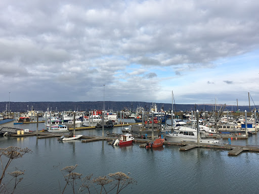 Campground «Lakeside General Store», reviews and photos, 7140 NY-3, Cranberry Lake, NY 12927, USA