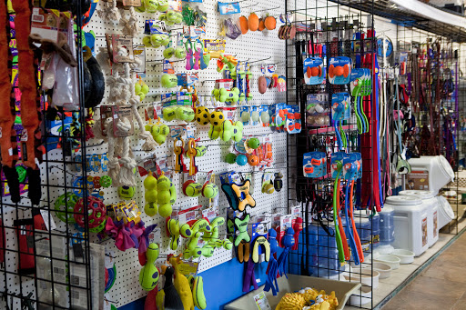 Pet Supply Store «Coast Pet Supplies», reviews and photos, 880 N Coast Hwy, Laguna Beach, CA 92651, USA