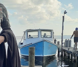 Solo Buceo Cancun photo