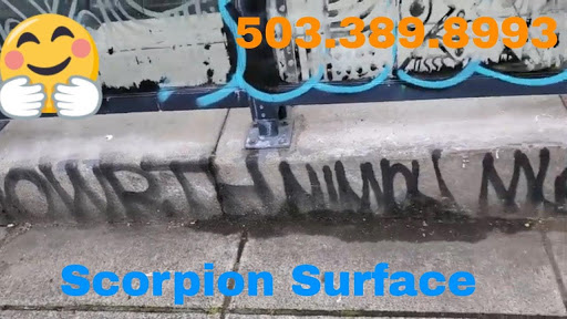 Scorpion Surface Cleaning Graffiti Removal