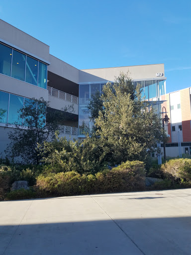 Community College «Palomar College», reviews and photos