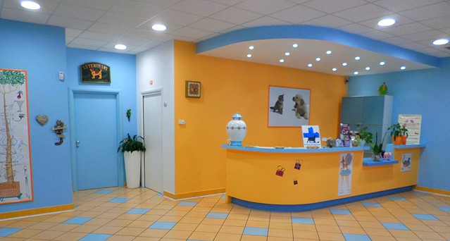 Veterinary Clinic City of Bari - Rep. 24h