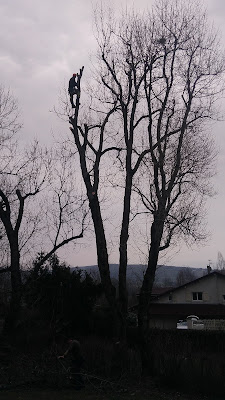 Ent Delange rudy paysagiste à Gaillon