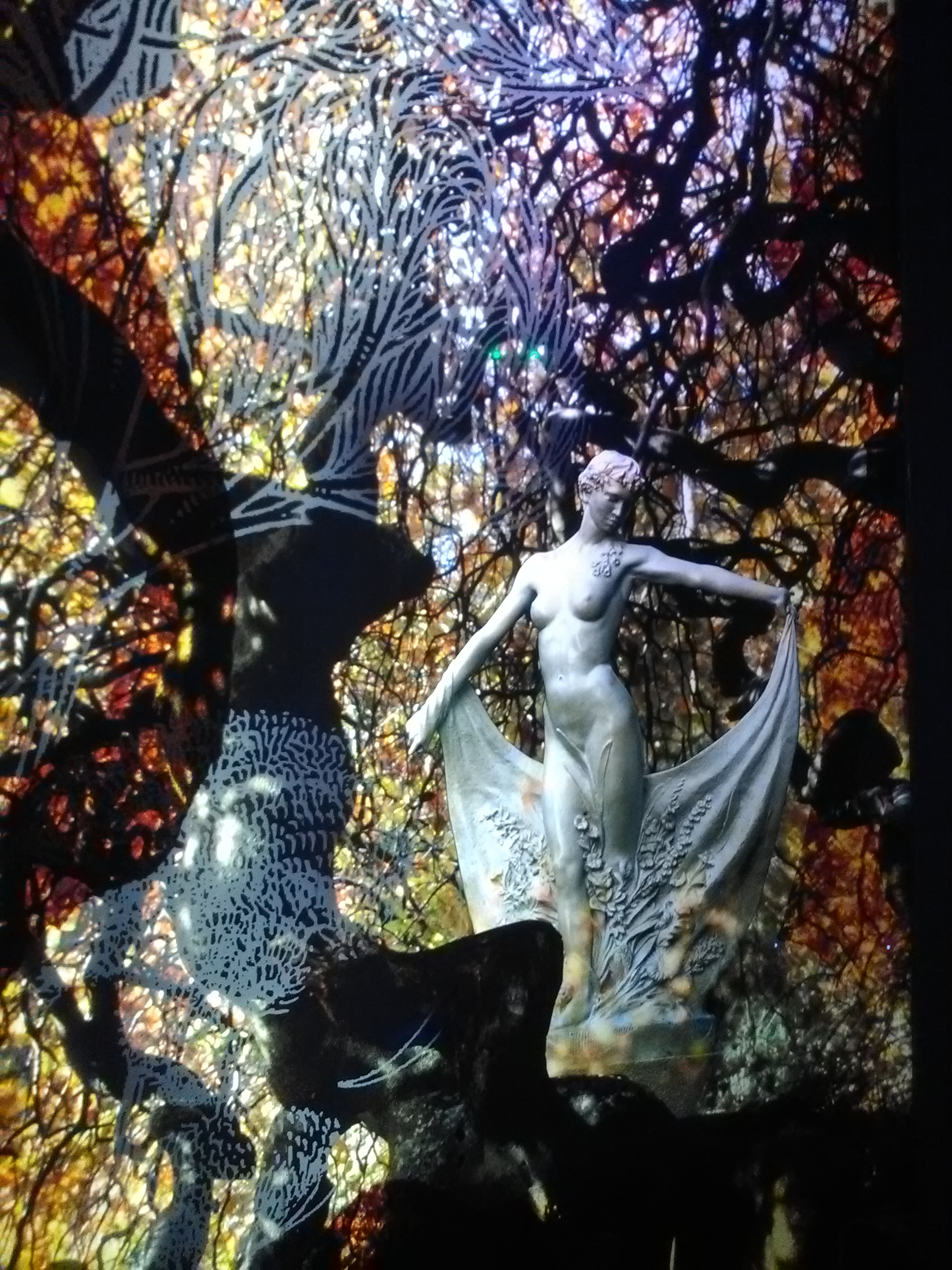 Photo n° 12 de l'avis de Athéna.e fait le 15/08/2017 à 06:29