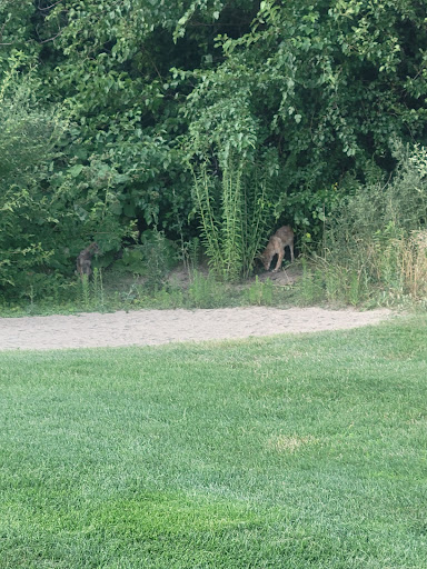 Golf Course «Stony Creek Golf Course», reviews and photos, 5850 W 103rd St, Oak Lawn, IL 60453, USA