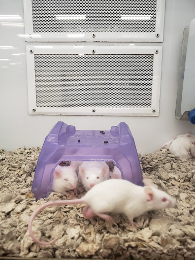 Pet Supply Store «Petco Animal Supplies», reviews and photos, 7110 Dodge St, Omaha, NE 68132, USA