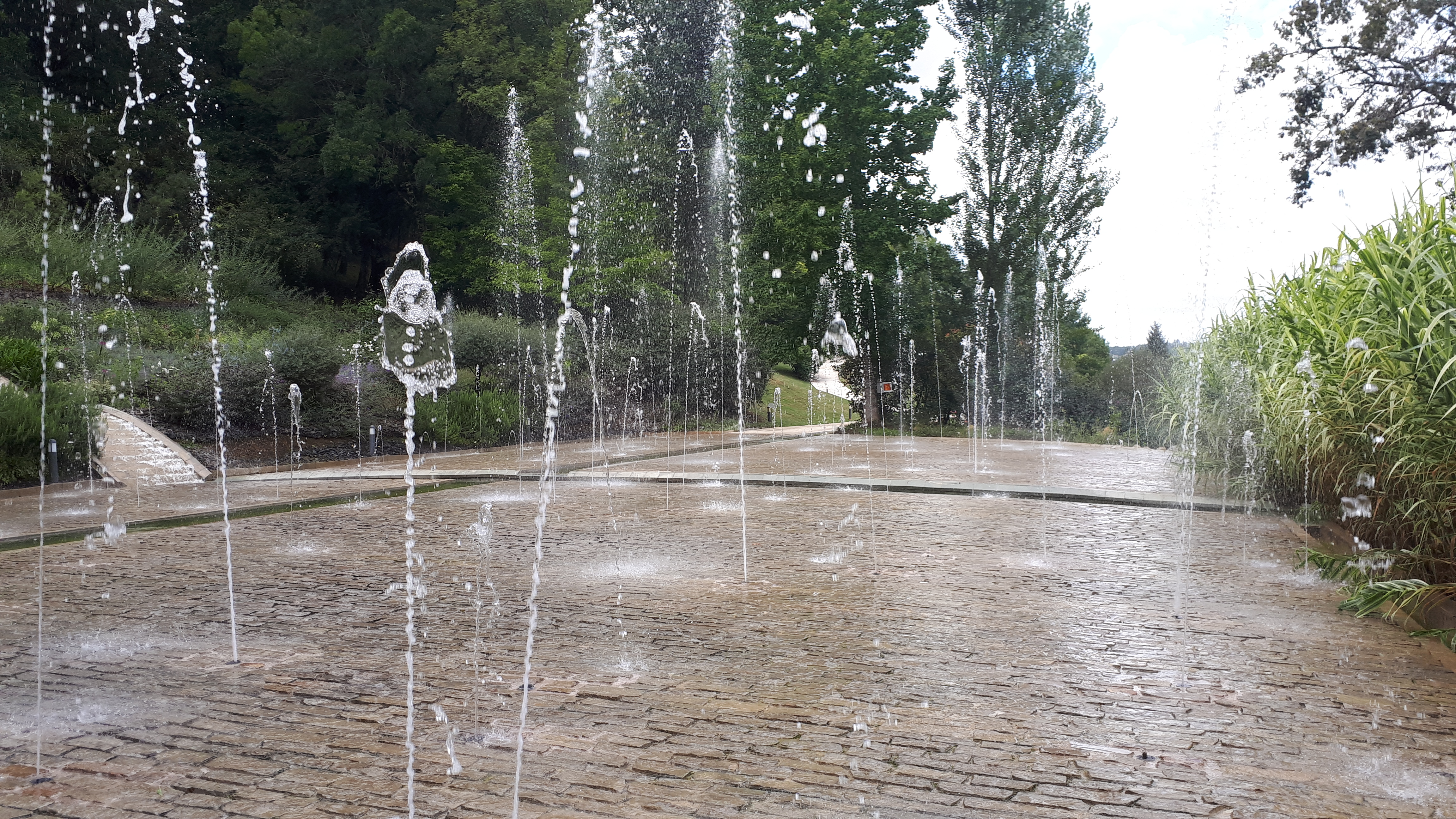 Photo n° 29 de l'avis de Cécile.i fait le 22/08/2020 à 17:28
