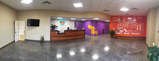 Pet Boarding Service «Creature Comforts», reviews and photos, 1600 W Cotton St, Longview, TX 75604, USA