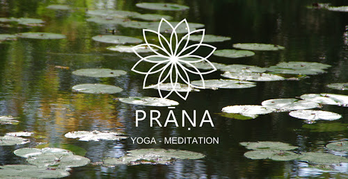 Prana Yoga Meditation à Parempuyre