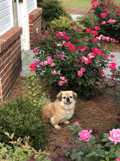 725 N Main St, Cedartown, GA 30125, USA