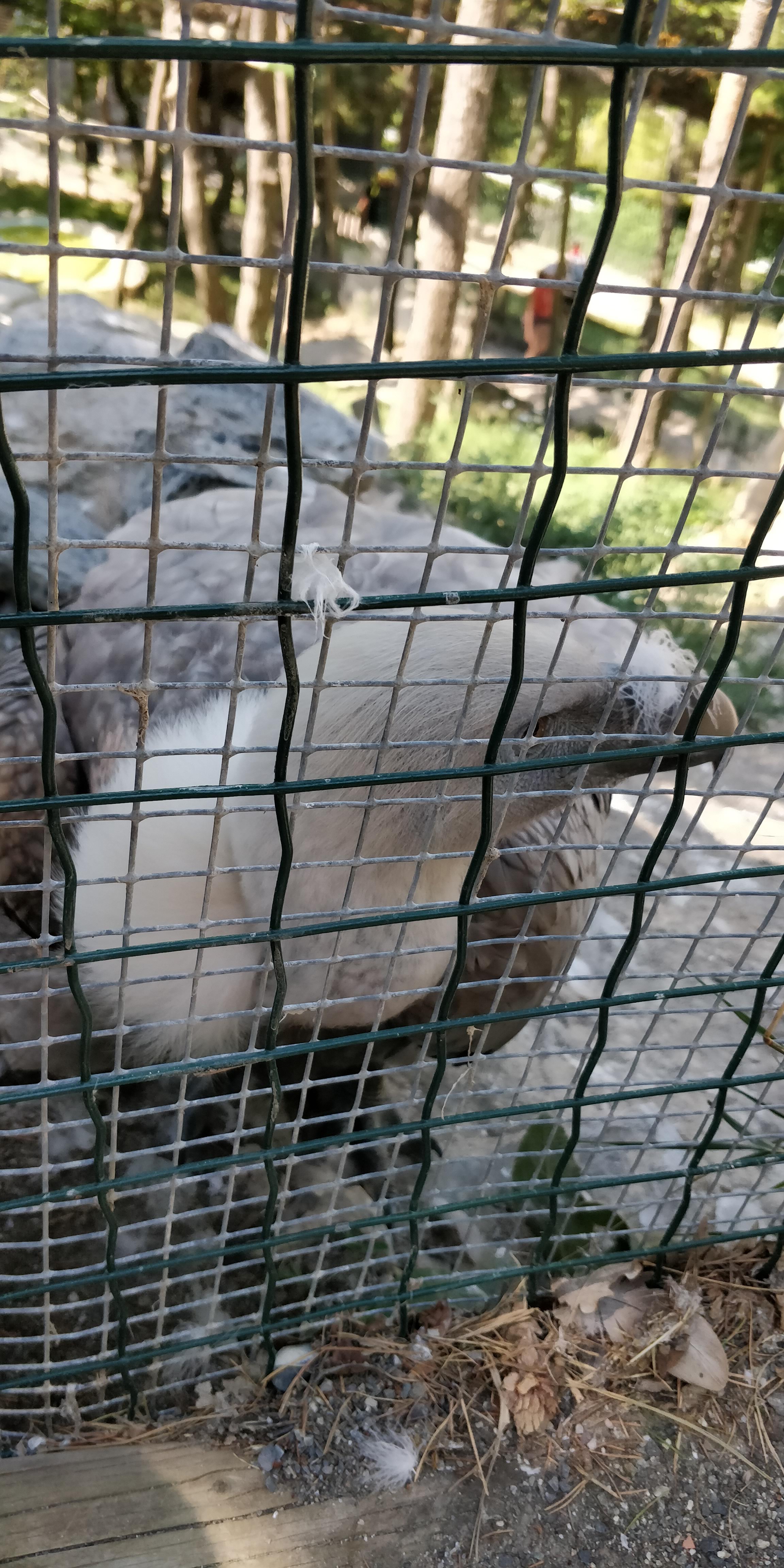 Photo n° 18 de l'avis de Sylvain.e fait le 02/08/2018 à 06:25