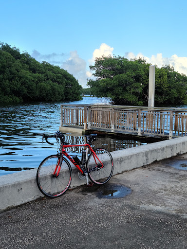 Bicycle Store «Andante Bicycle Shop», reviews and photos, 20277 Old Cutler Rd, Cutler Bay, FL 33189, USA