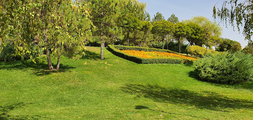 Köpek Parkı Ankara