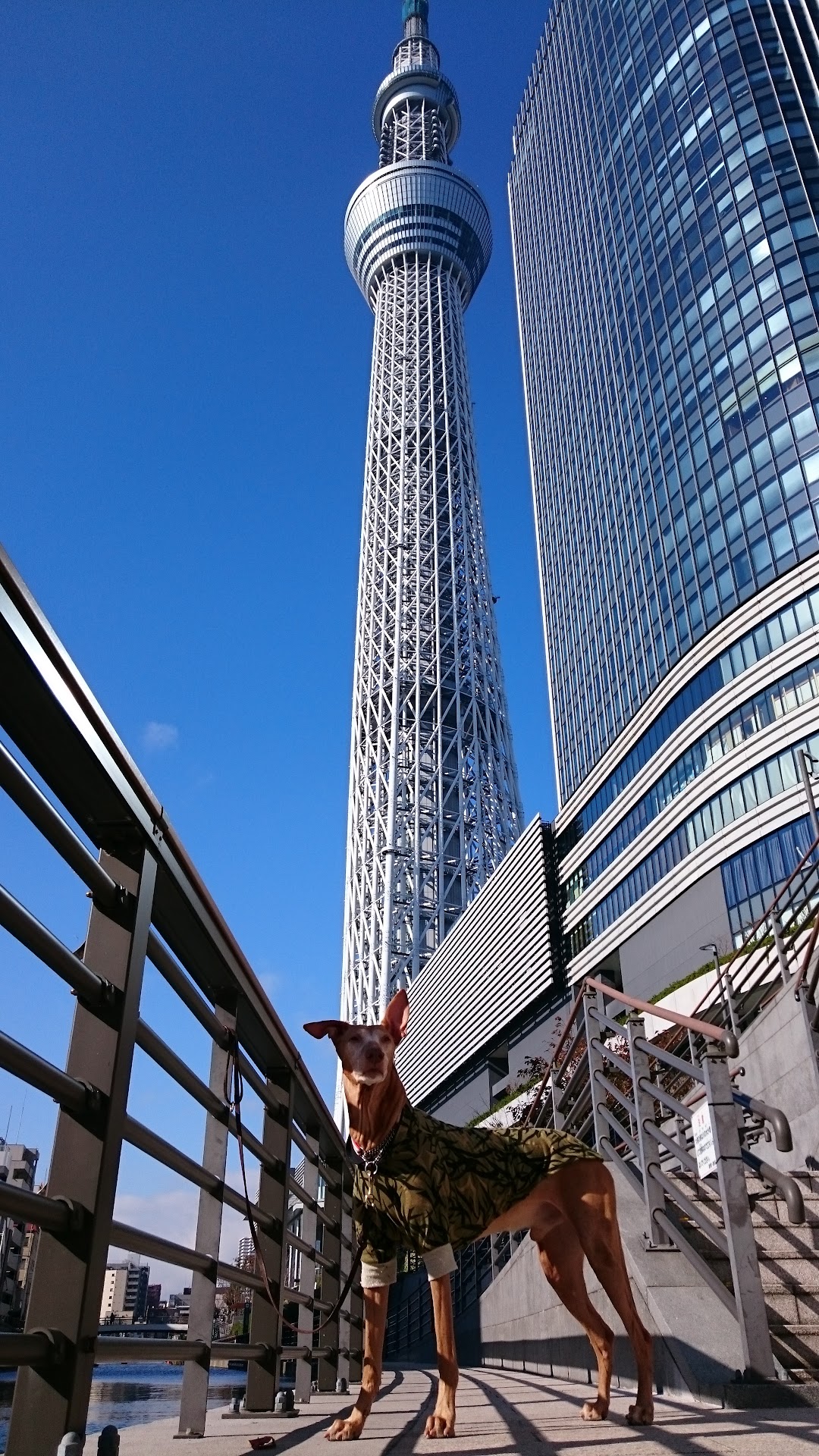 おしなり公園船着場