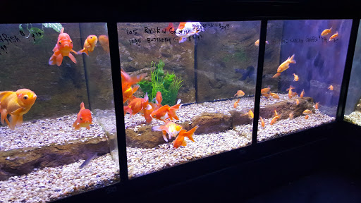 Tropical Fish Store «Aquarium Center», reviews and photos, 1468 Blackwood Clementon Rd, Clementon, NJ 08021, USA
