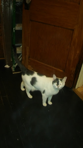 Auto Body Shop «Excalibur Collision», reviews and photos, 9935 E Washington St, Chagrin Falls, OH 44023, USA