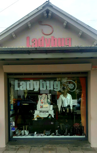 Ladybug