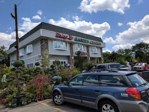 Market «Rising Up Garden Center, Landscape Design, & Florist», reviews and photos, 1314 St George Ave, Avenel, NJ 07001, USA