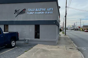 Triad Martial Arts Family Training Center image