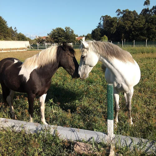 ARES - Associação Recreativa e Equestre de Sandim