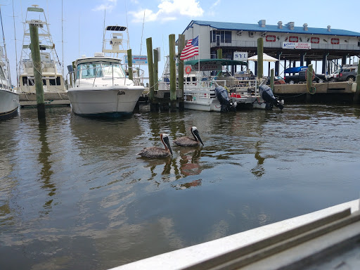 Cruise Agency «Biloxi Shrimping Trip», reviews and photos, 693 Beach Blvd, Biloxi, MS 39530, USA