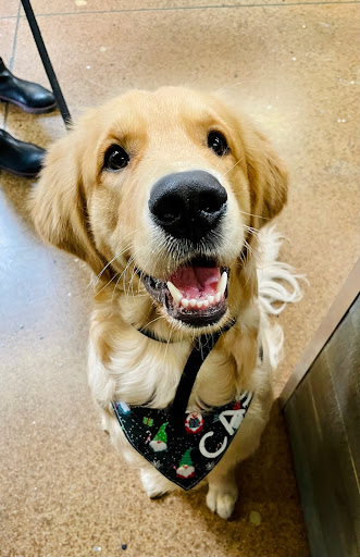 Furlys Pet Supply image