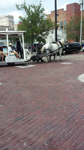 Cruise Agency «Cape Fear Riverboats», reviews and photos, 101 S Water St #1, Wilmington, NC 28401, USA