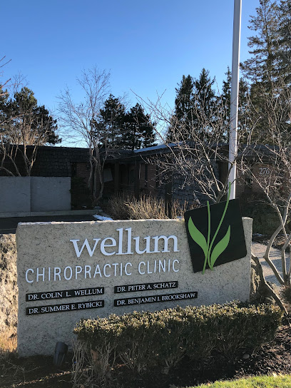 Wellum Chiropractic Clinic