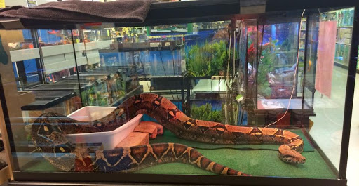 Pet Groomer «We Lov Pets», reviews and photos, 3853 Northpointe Dr, Zanesville, OH 43701, USA