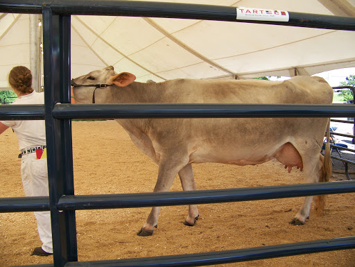 Fairground «Bangor State Fair», reviews and photos, 515 Main St, Bangor, ME 04401, USA