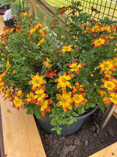 Home Improvement Store «The Home Depot», reviews and photos, 56 Myrick St, Ellsworth, ME 04605, USA