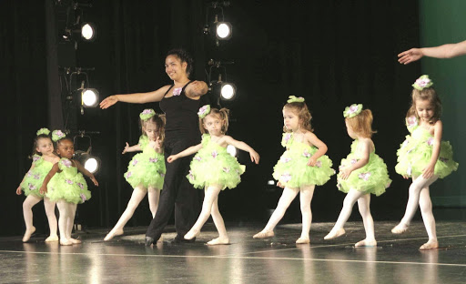 Dance School «Dance and Circus Arts of Tampa Bay», reviews and photos, 1490 N Belcher Rd, Clearwater, FL 33765, USA