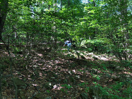 Park «Hocker Park», reviews and photos, Blue Mountain Pkwy, Harrisburg, PA 17112, USA