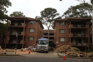 North Shore Tree Services Sydney - Removal & Lopping image