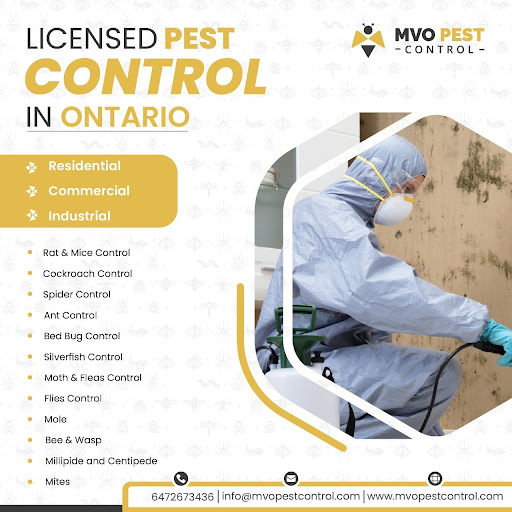 MVO PEST CONTROL Pest Control Service in London, Ontario