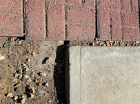 Pest Protection Services - Photo 2 - Car repair in Brentwood, CA, Concord