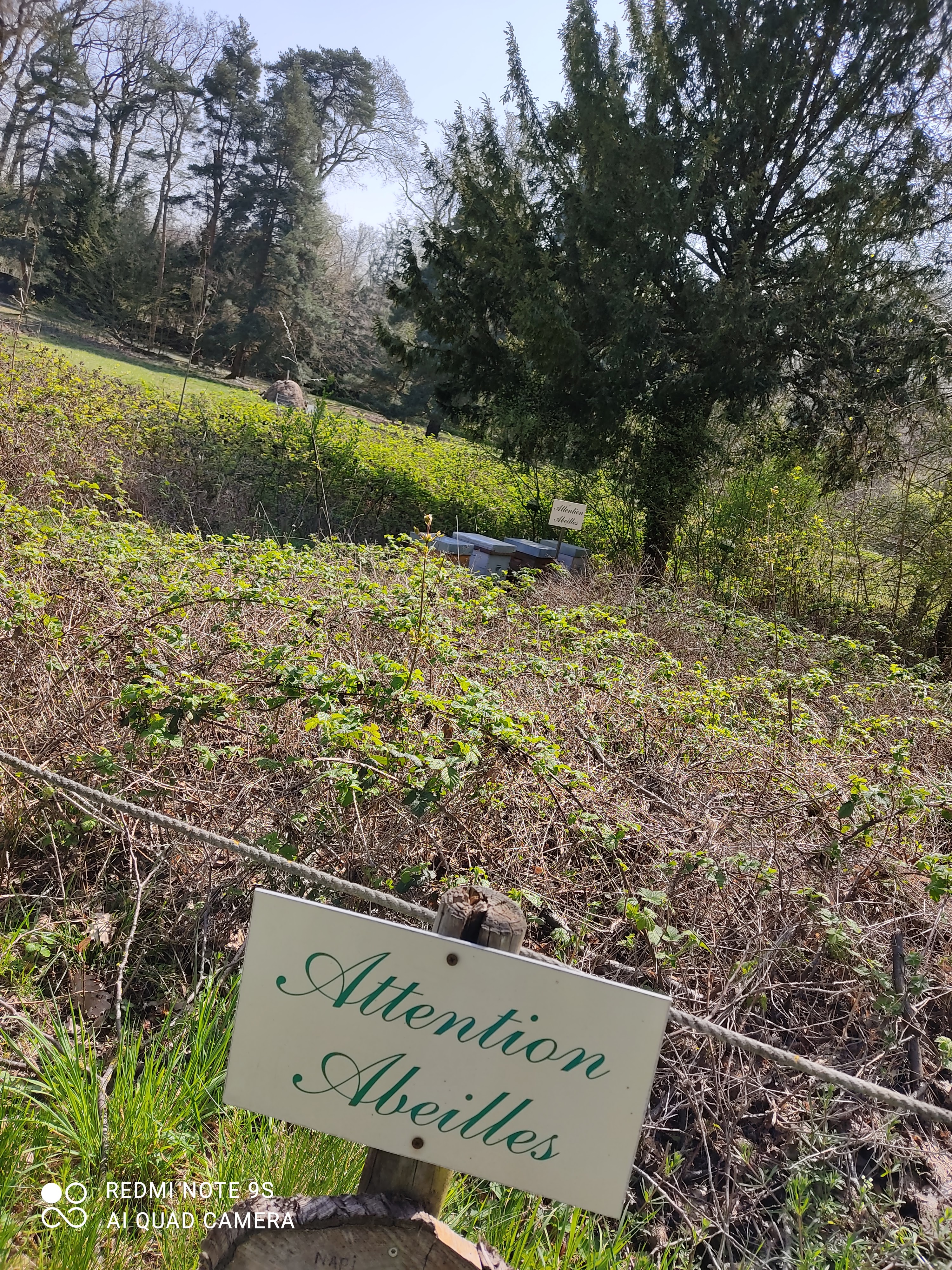 Photo n° 13 de l'avis de Saissi.e fait le 04/04/2021 à 16:29