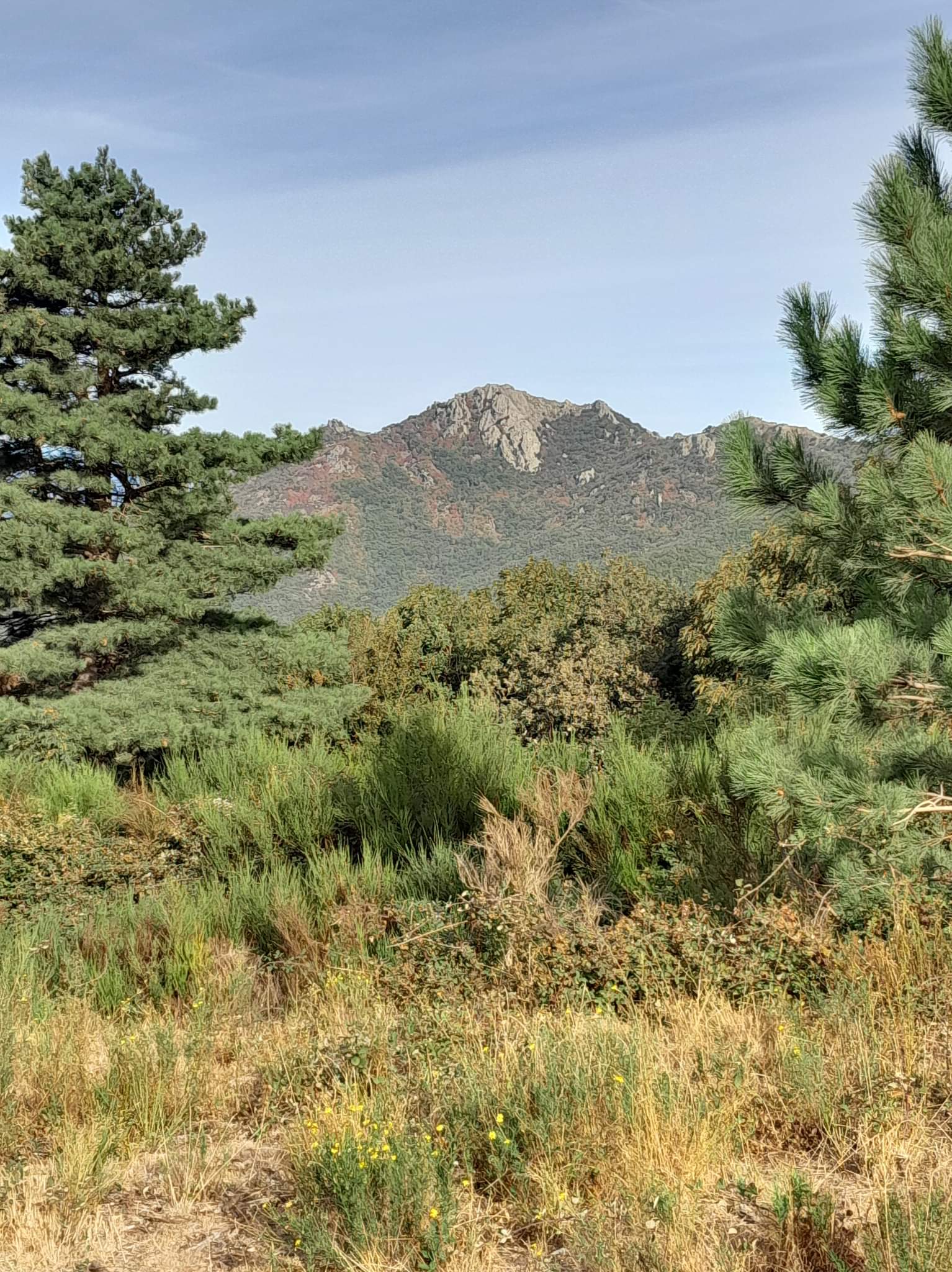 Photo n° 9 de l'avis de Nadege.a fait le 21/09/2022 à 13:22