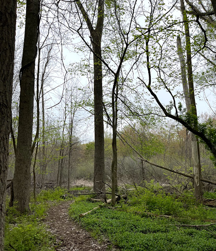 Nature Preserve «Mud Lake Bog Nature Preserve», reviews and photos, 905 E Elm Valley Rd, Buchanan, MI 49107, USA