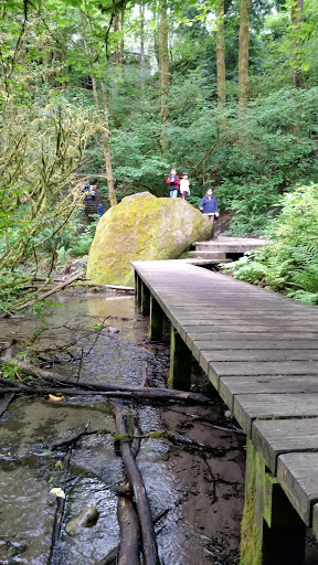 Park «Cowen Park», reviews and photos, 5849 15th Ave NE, Seattle, WA 98105, USA