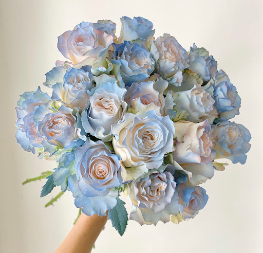 Hair Salon «Aylin Beauty Salon & Spa», reviews and photos, 820 E 41st St, Hialeah, FL 33013, USA