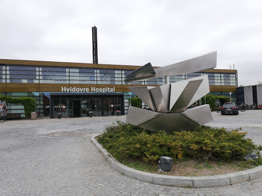 Offentlige sygehuse København