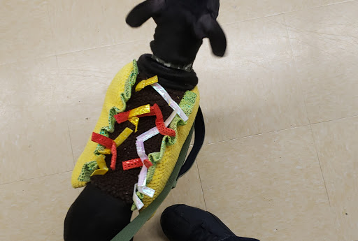 Pet Supply Store «Petco Animal Supplies», reviews and photos, 1391 NJ-35, Middletown, NJ 07748, USA