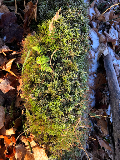 Day Care Center «Fuller Hill Child Care Center», reviews and photos, 5251 McAuley Dr, Ypsilanti, MI 48197, USA