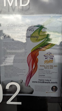 Timeless Aloha Yoga - Photo 9 - Car repair in South Ogden, UT, Ogden