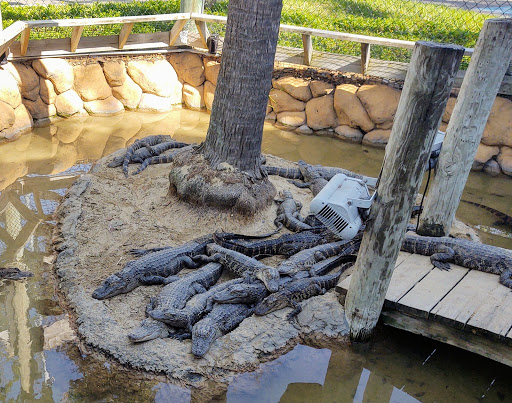 Miniature Golf Course «Congo River Golf», reviews and photos, 20060 US-19, Clearwater, FL 33764, USA