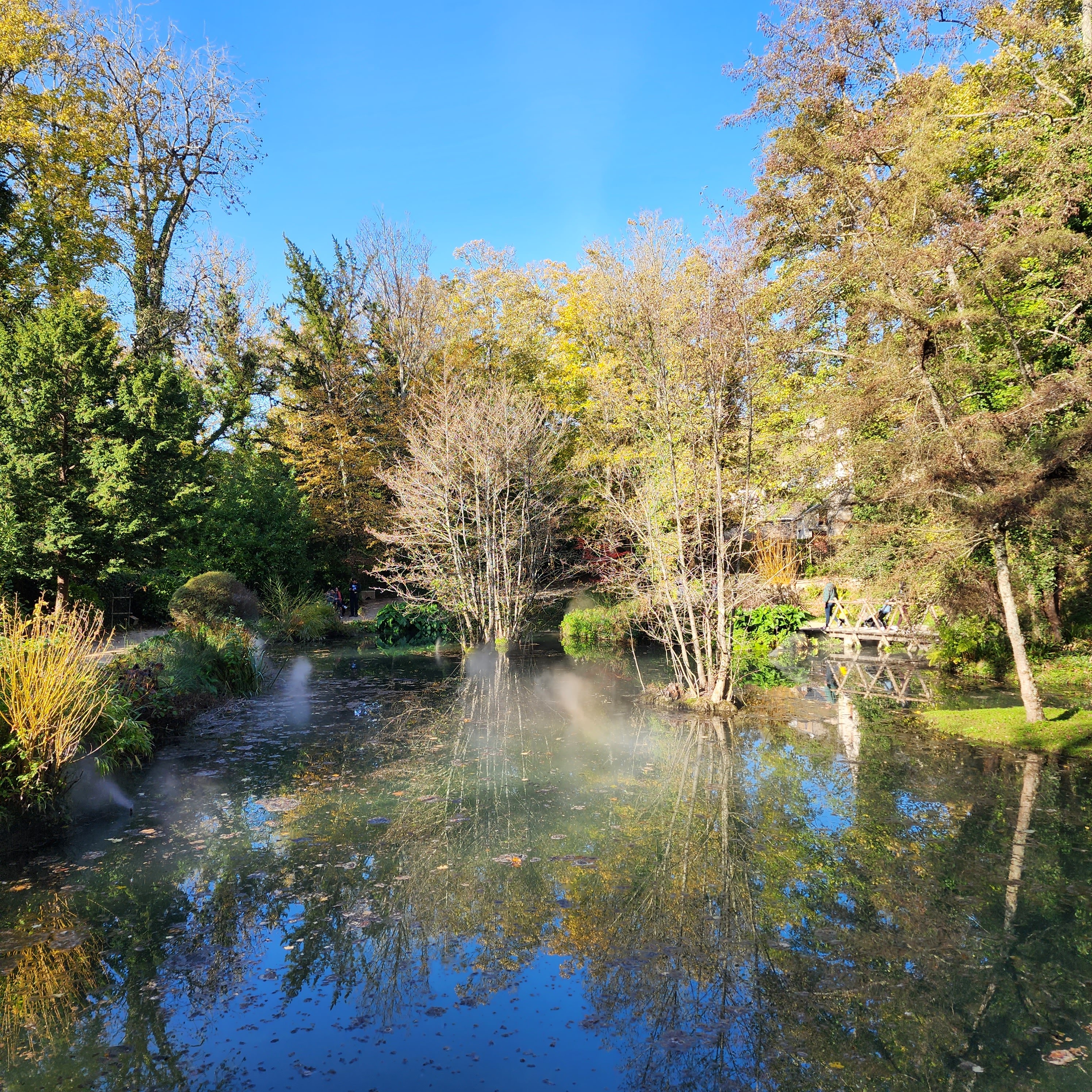 Photo n° 41 de l'avis de Sean.u fait le 14/11/2022 à 12:13