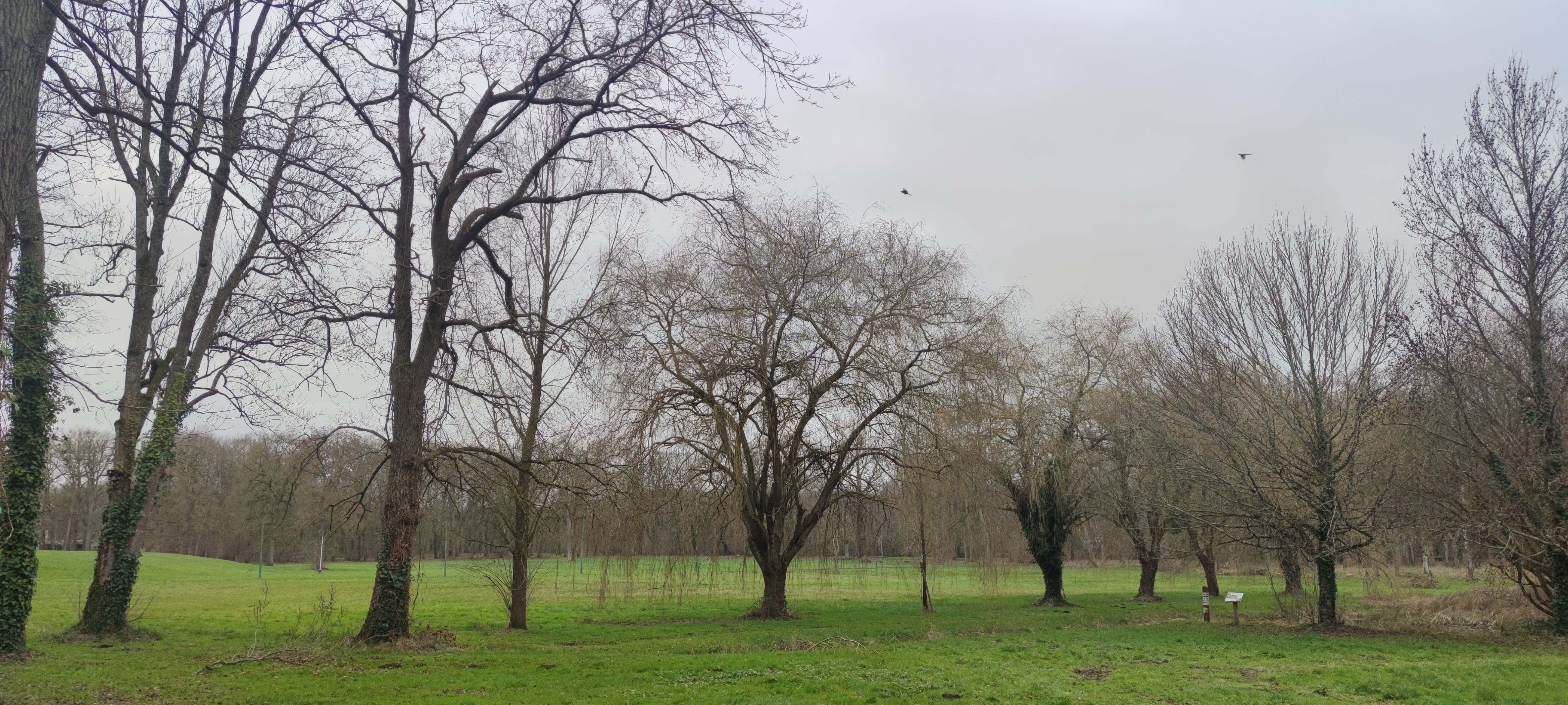Photo n° 2 de l'avis de Soufiane.l fait le 11/02/2024 à 23:50